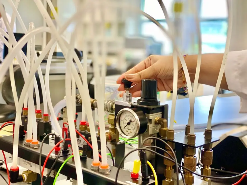 Training & Courses Crop female laboratory worker pressing pump lever in modern lab during working process
